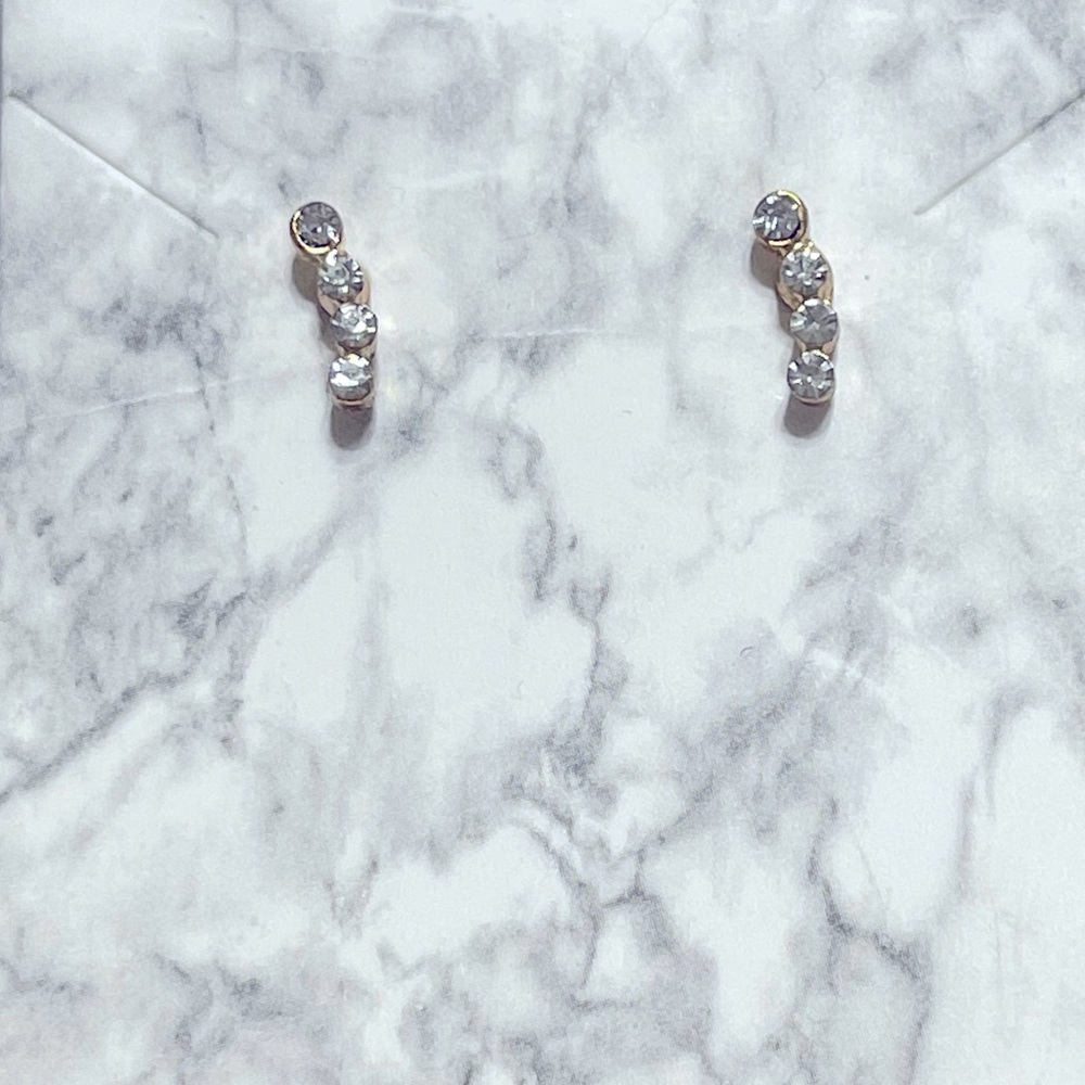 Earrings/Studs